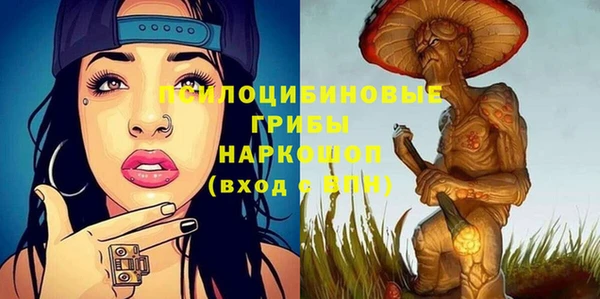 стафф Абаза